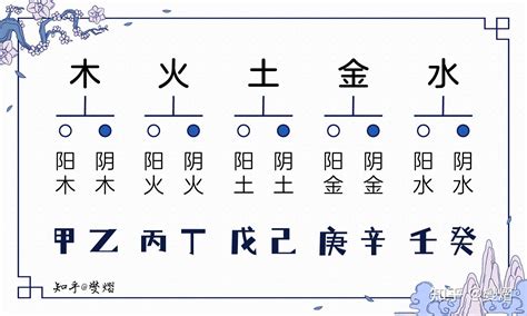 丙火 乙木|十天干與十二地支喜忌——乙木篇